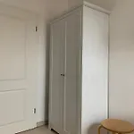 Silbermoewe * Krummhörn