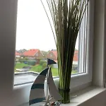 Silbermoewe *