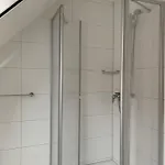 Silbermoewe