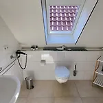 Silbermoewe