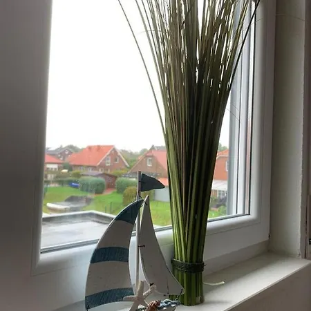 Silbermoewe *