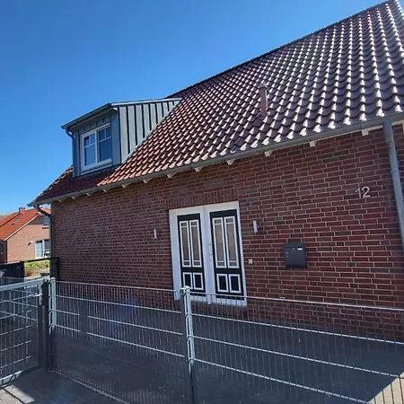 Silbermoewe Krummhörn
